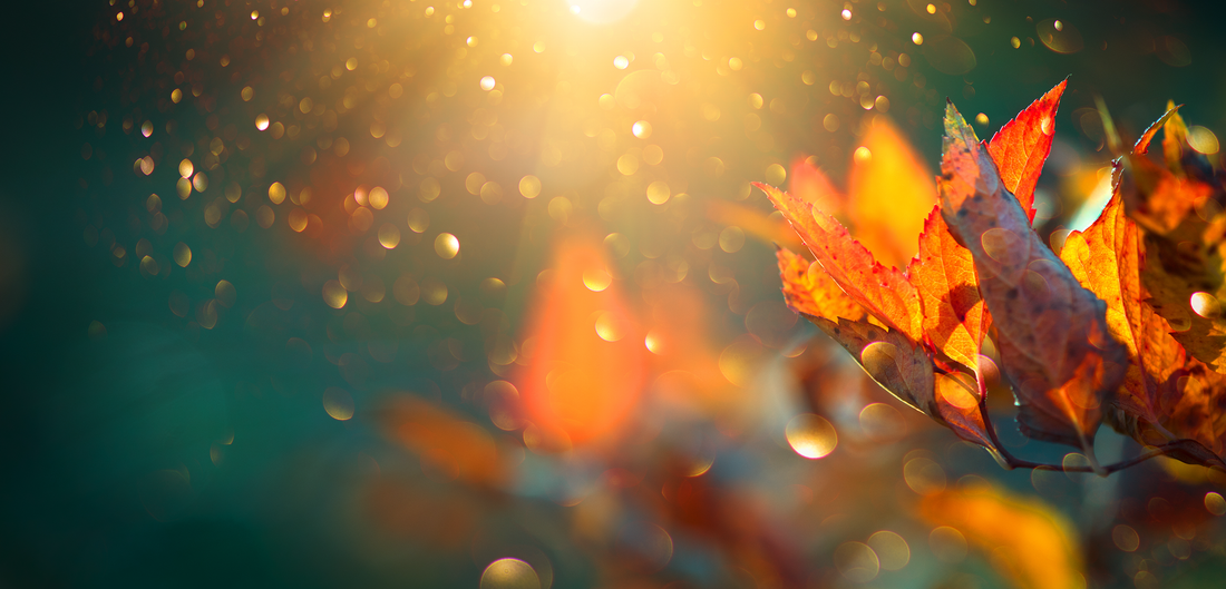 November