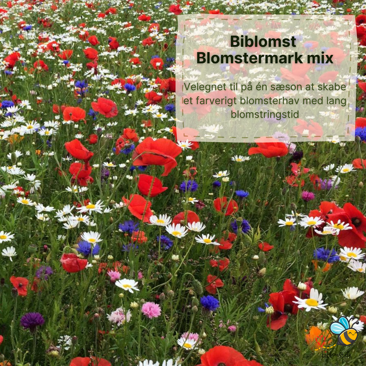 Biblomst blomstermark