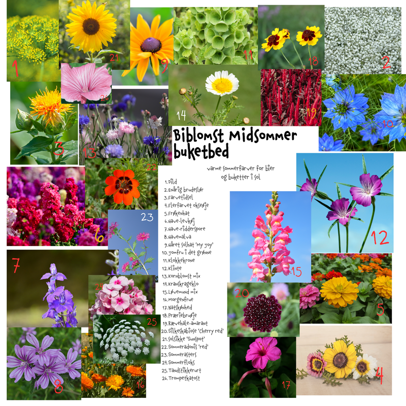 Så- og pasningsvejledning til Cute Cutflower – mellemhøj snitblomster-blanding