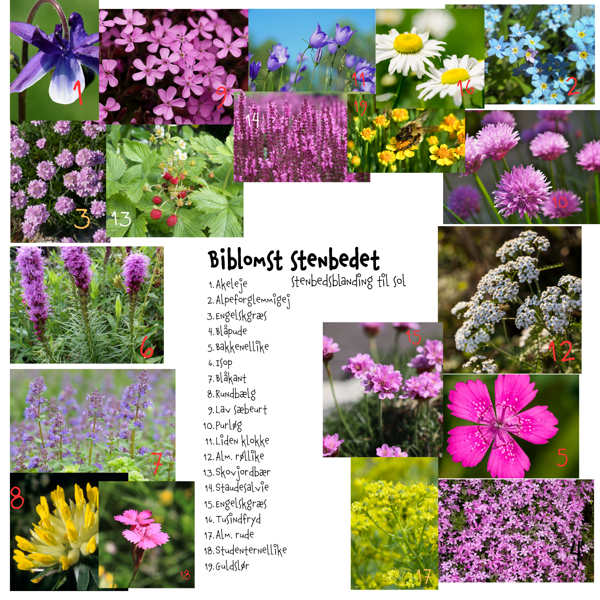 Så- og pasningsvejledning til stenbedsblanding