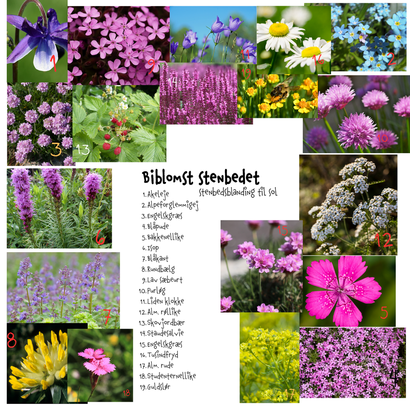 Så- og pasningsvejledning til stenbedsblanding