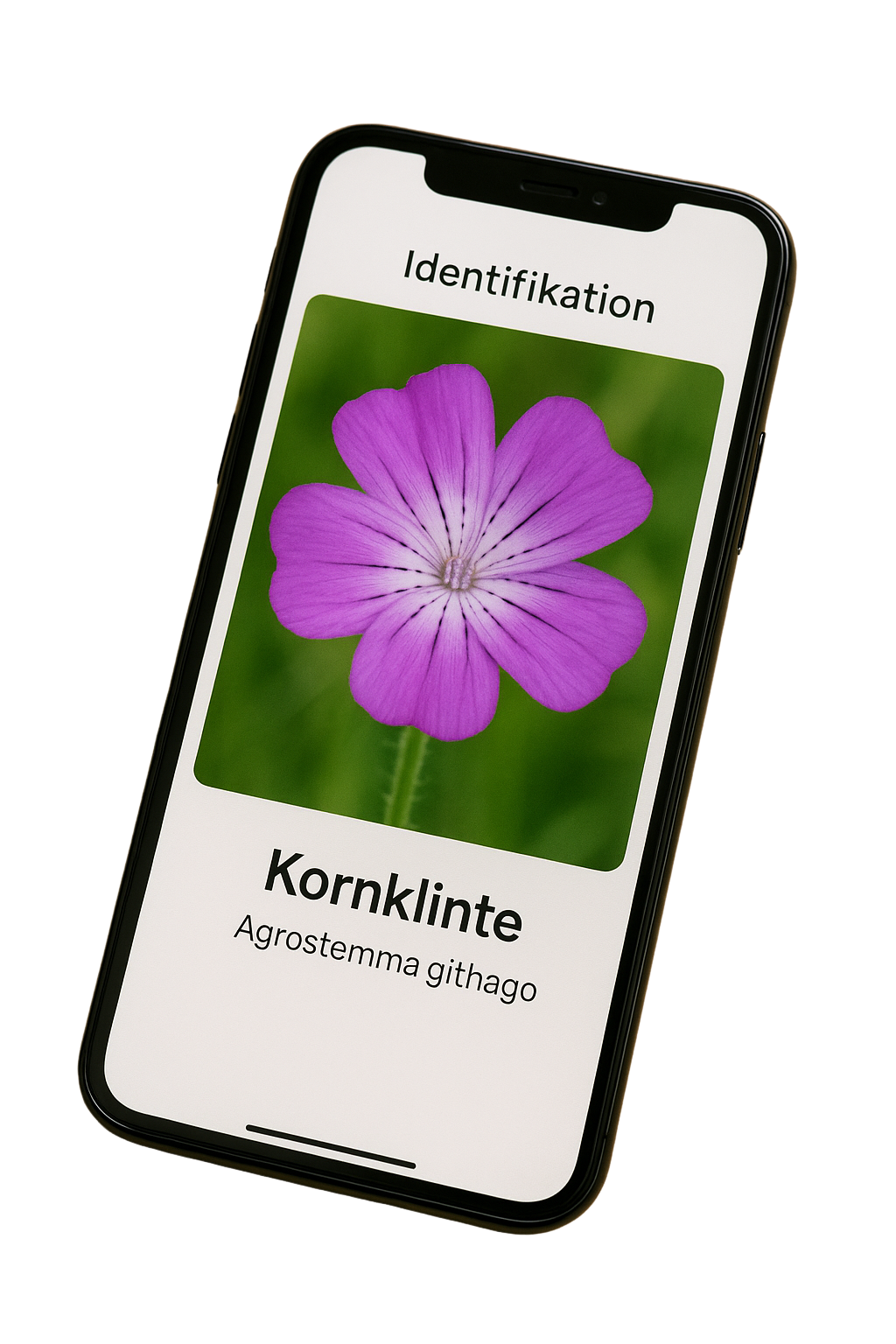 De bedste apps til plante­identifikation i 2025 - opdateret!