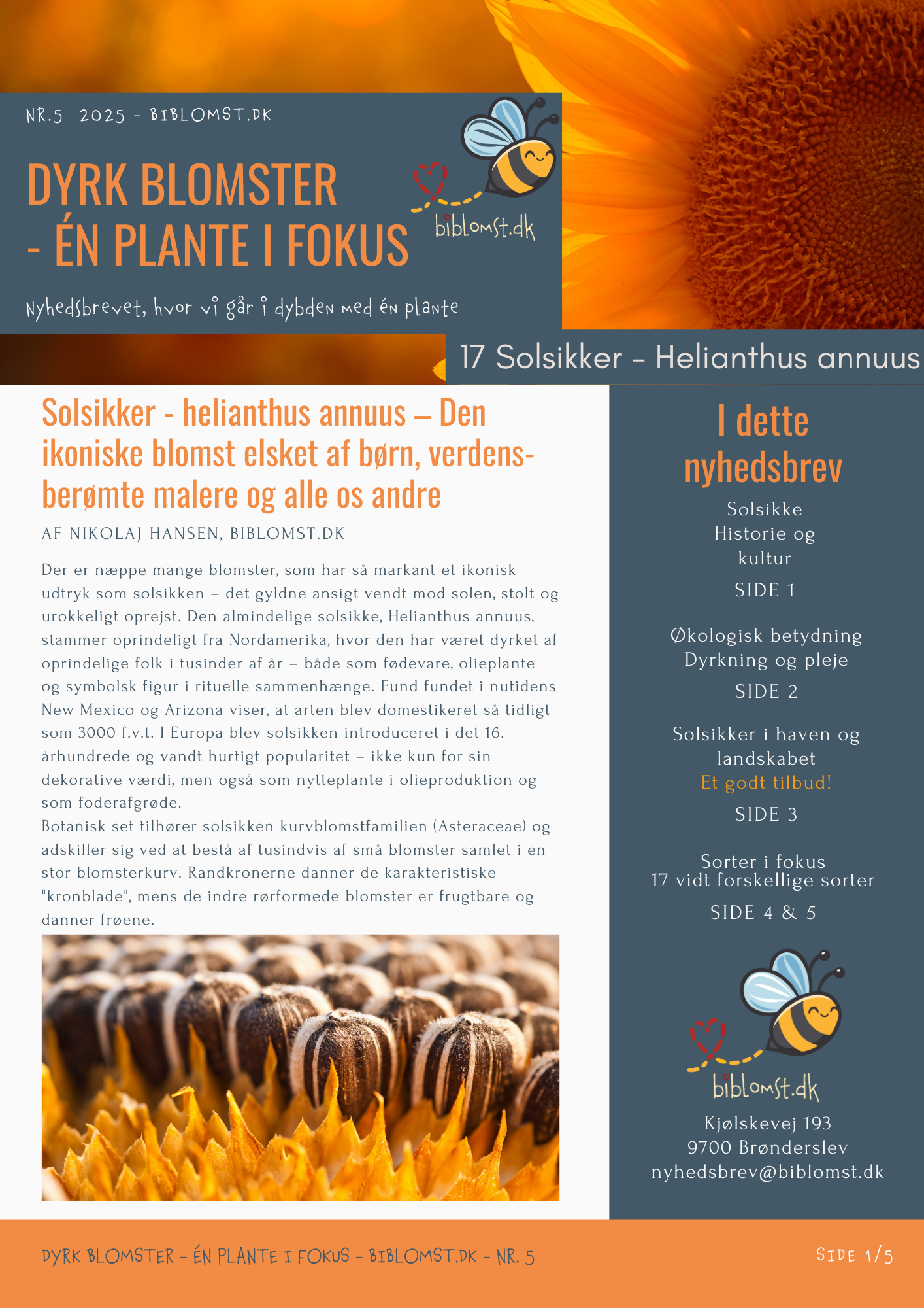 Dyrk blomster - én plante i fokus nr. 5 Solsikker