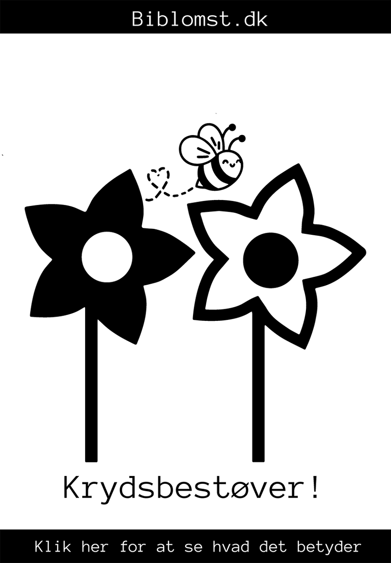 Krydsbestøvning og krydsformering: Hvad betyder det?