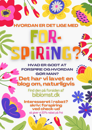 Den ultimative guide til forspiring af blomsterfrø