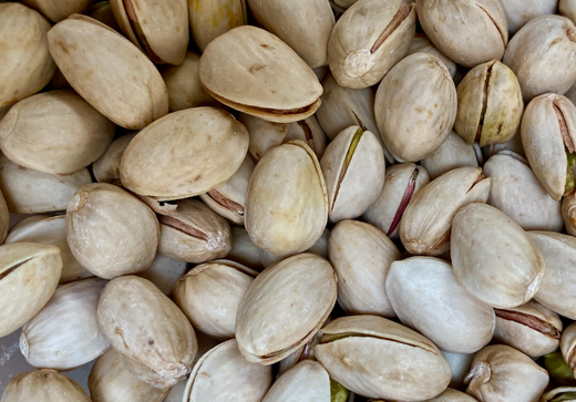 Så- og pasningsvejledning for Pistacietræ – Pistacia vera