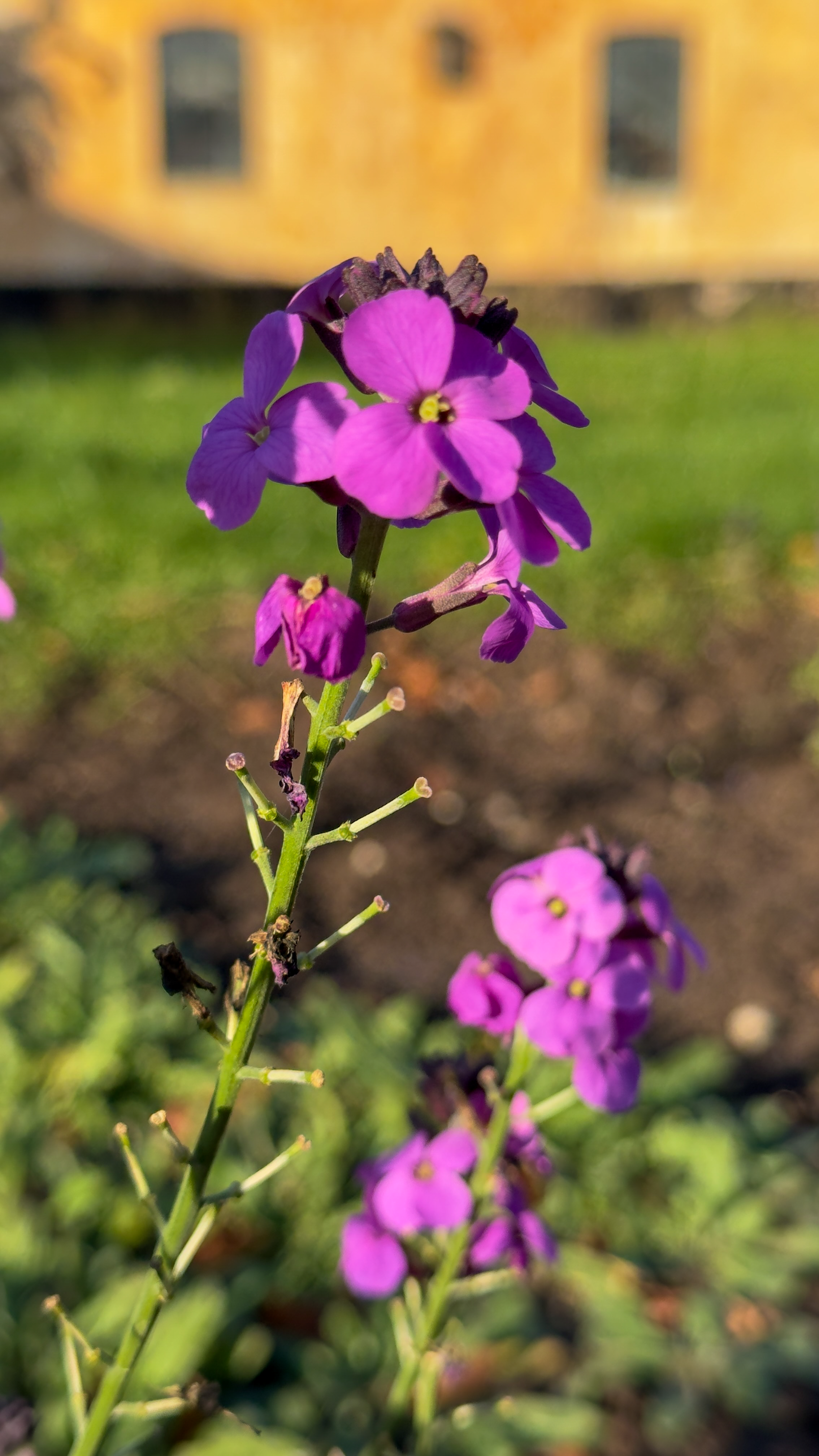 November i Haven: Forberedelse til Vinterens Kulde