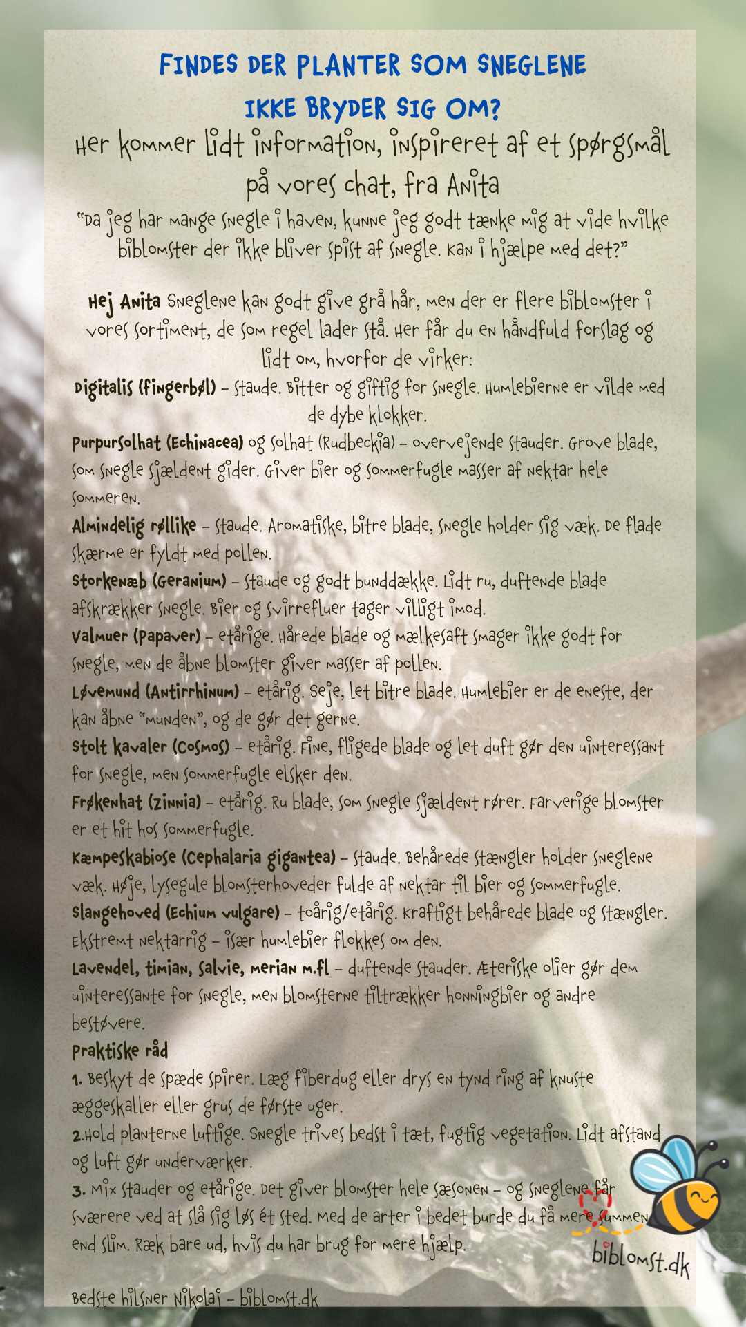 Findes der planter, som sneglene ikke bryder sig om