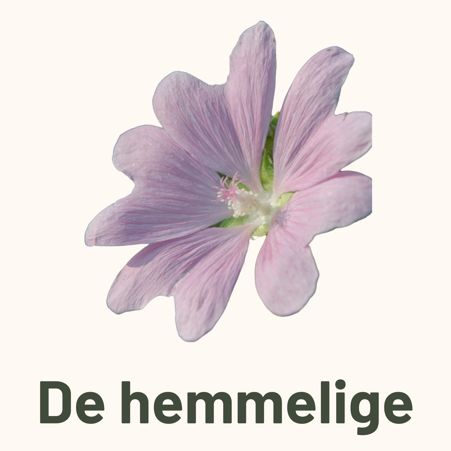 De hemmelige frø