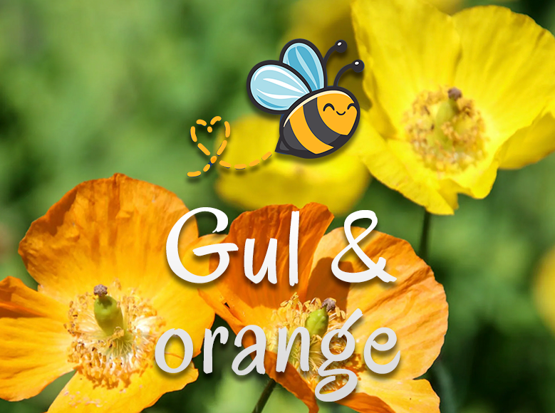 Gul & orange