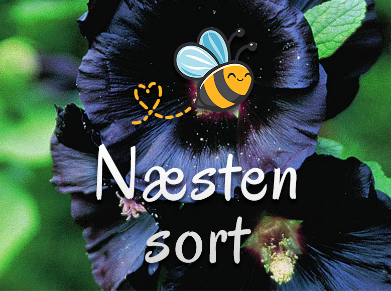 Næsten sort