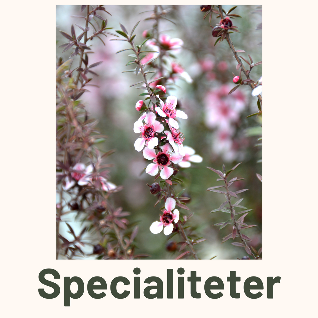 Specialiteter