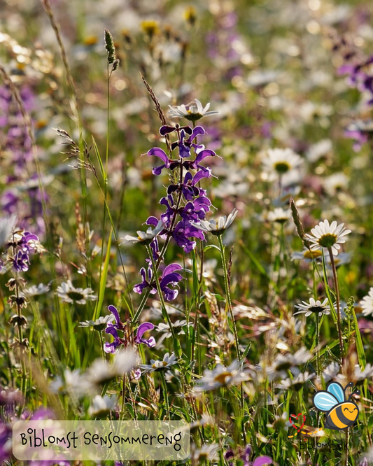 Biblomst sommereng – kultur- og naturhistorie i blomster