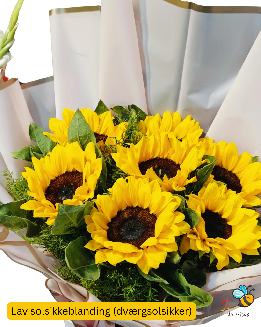 Biblomst Lav solsikke blanding (Helianthus annuus)