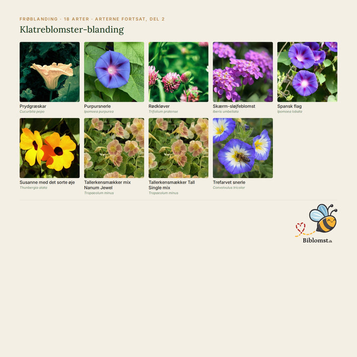 Biblomst klatreblomster-blanding – oversigt over arterne i blandingen (2)
