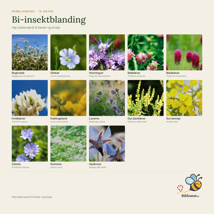 Bi-insektblanding – oversigt over arterne i blandingen (1)
