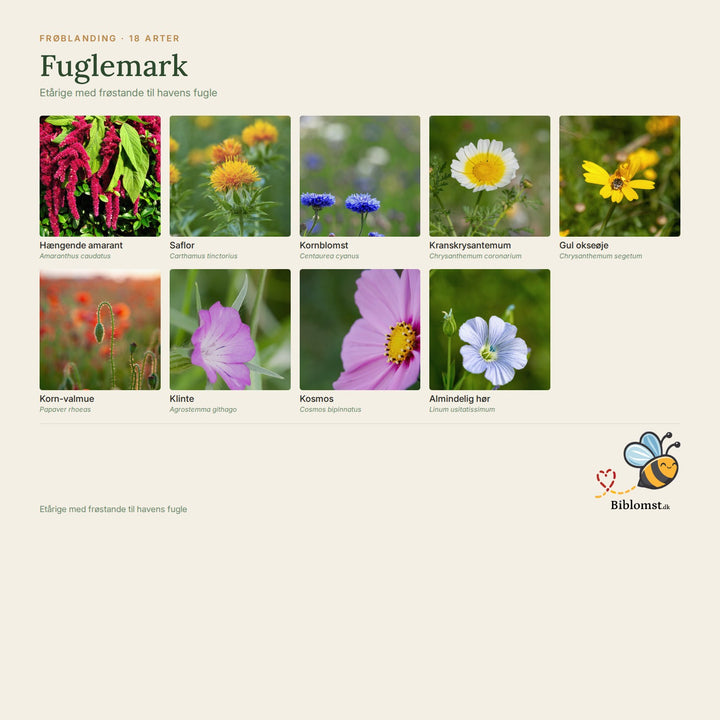 Biblomst fuglemark – oversigt over arterne i blandingen (1)