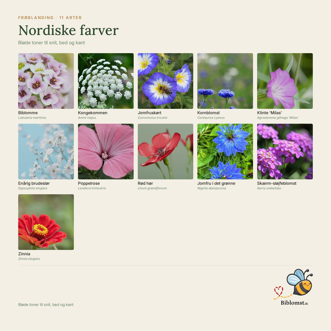 Biblomst nordiske farver – oversigt over arterne i blandingen (1)