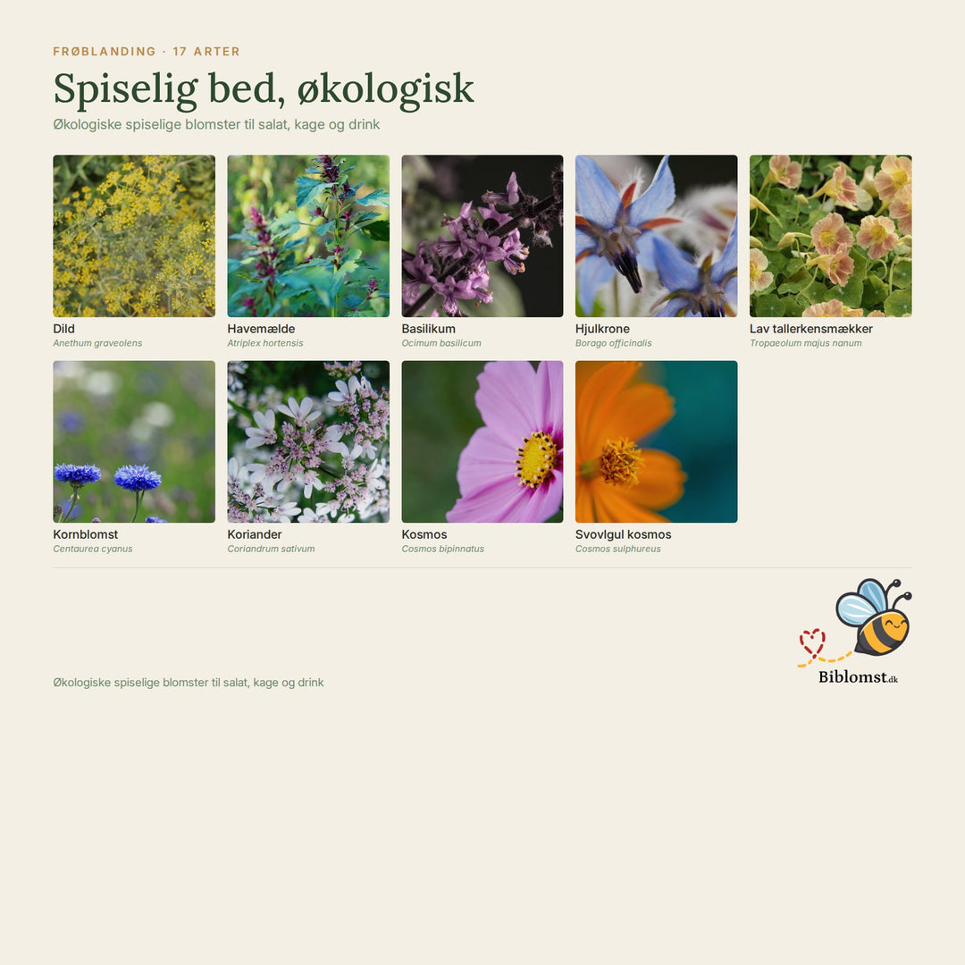 Biblomst spiselig bed, økologisk – oversigt over arterne i blandingen (1)
