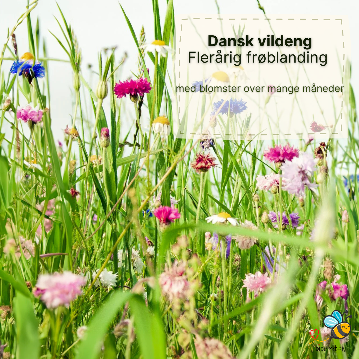 biblomst vildeng