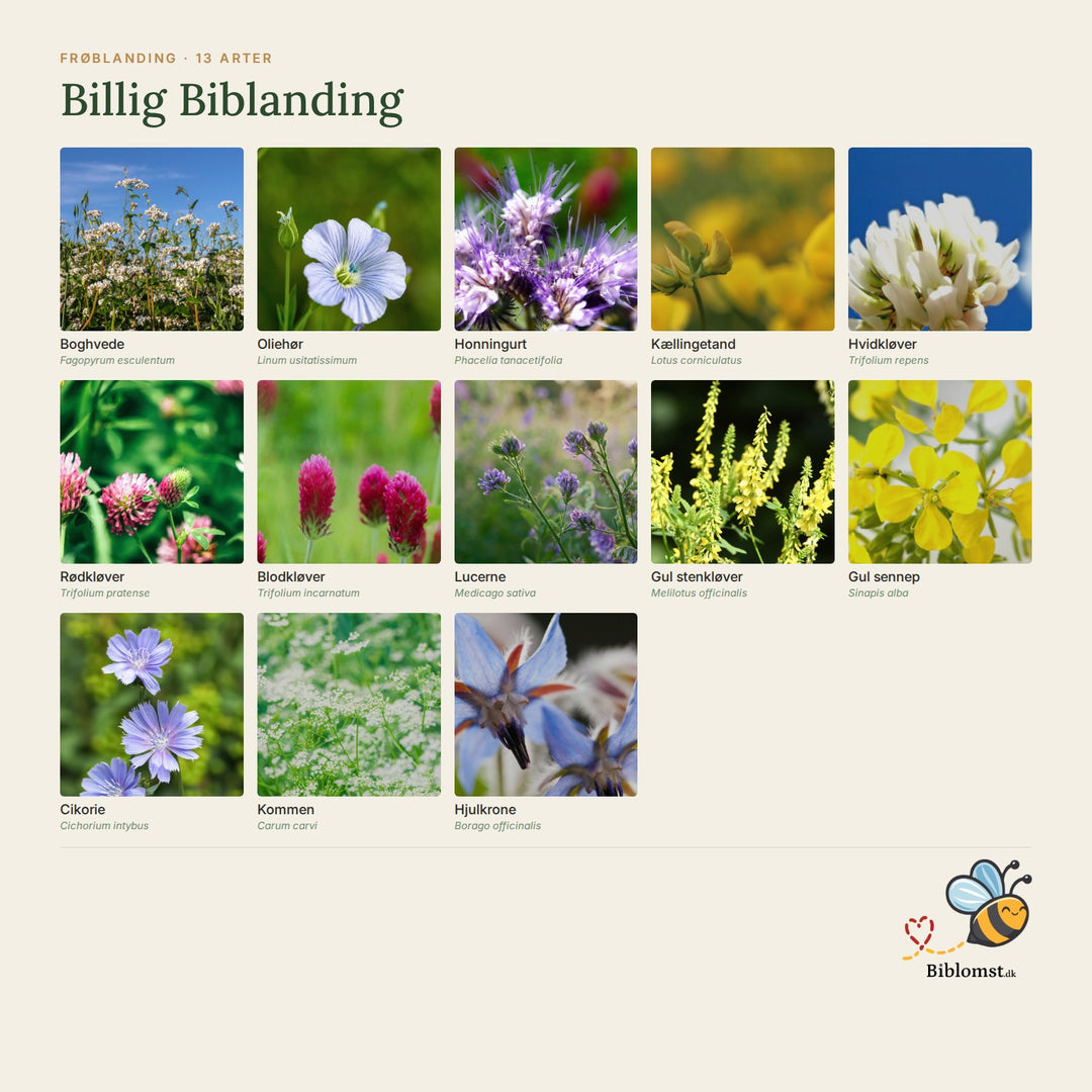 Billig biblanding – oversigt over arterne i blandingen