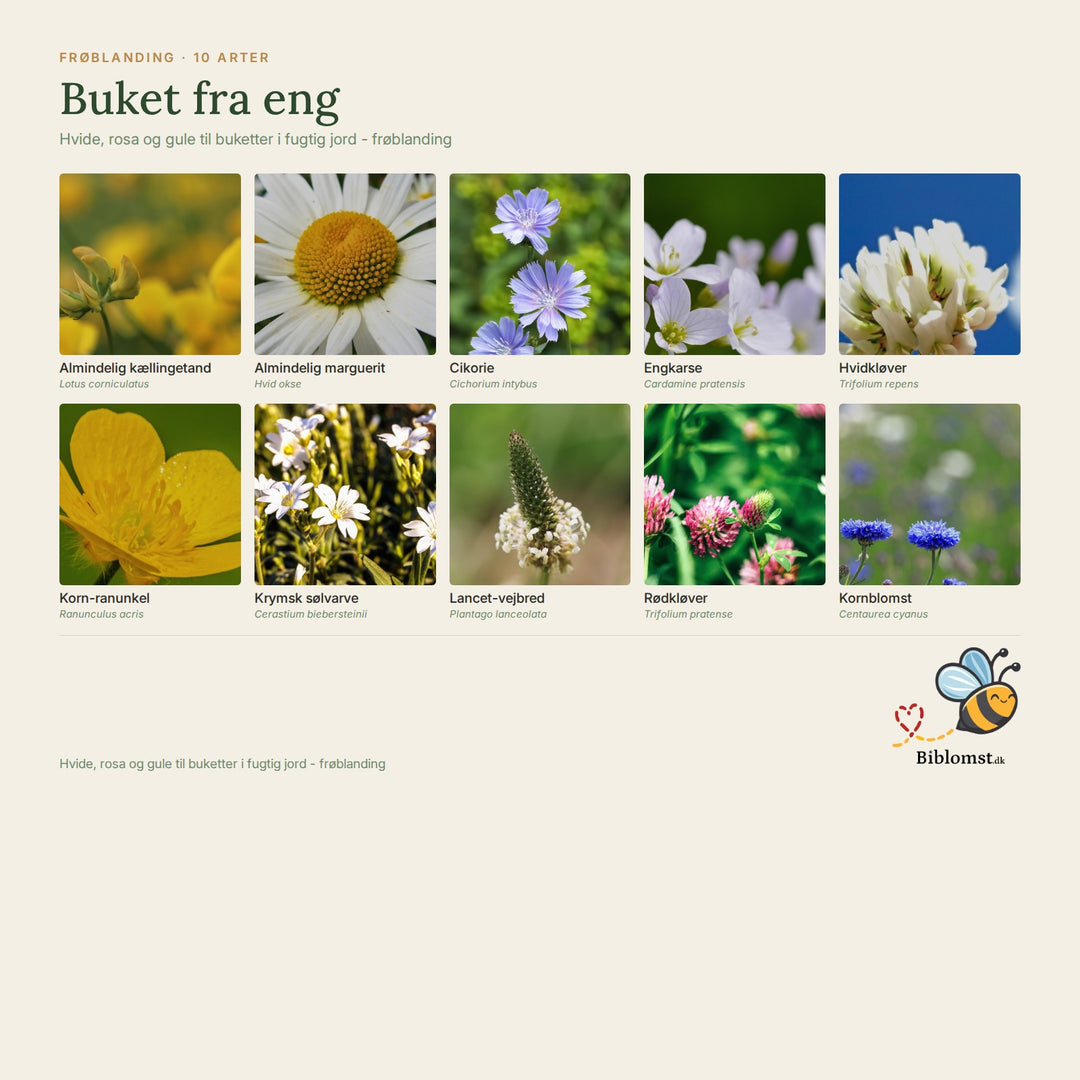 Buket fra eng – oversigt over arterne i blandingen (1)