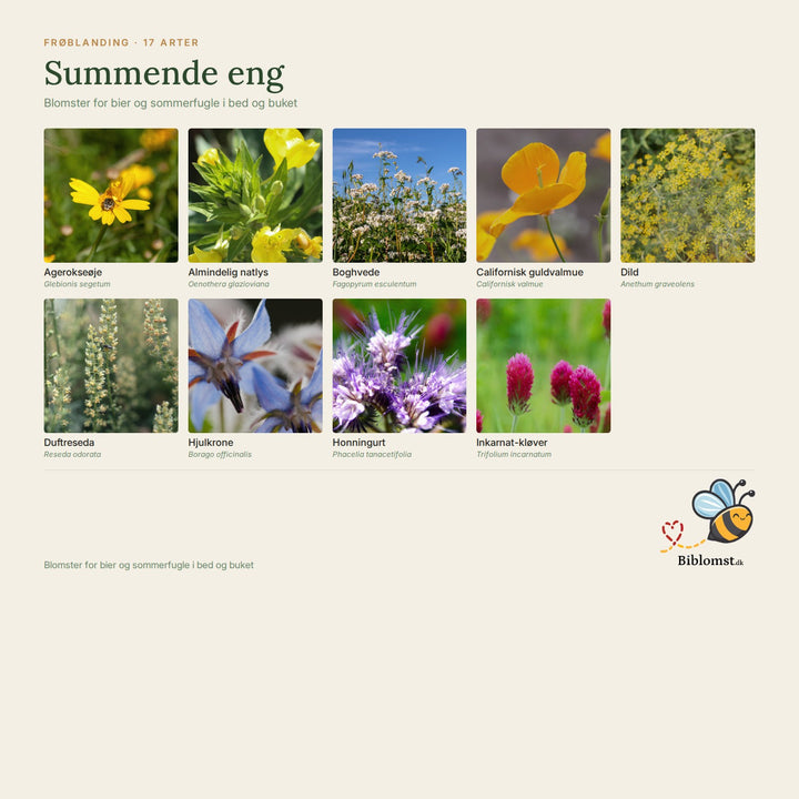 Summende eng – oversigt over arterne i blandingen (1)