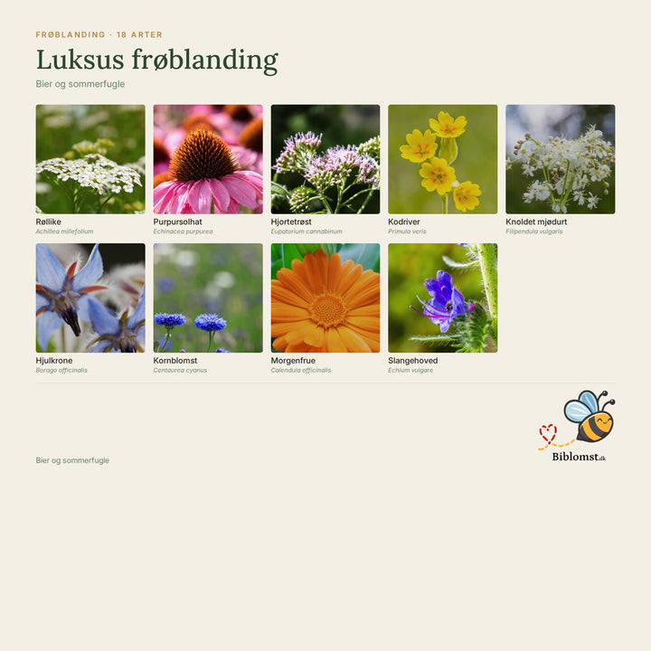 Luksus frøblanding – oversigt over arterne i blandingen (1)