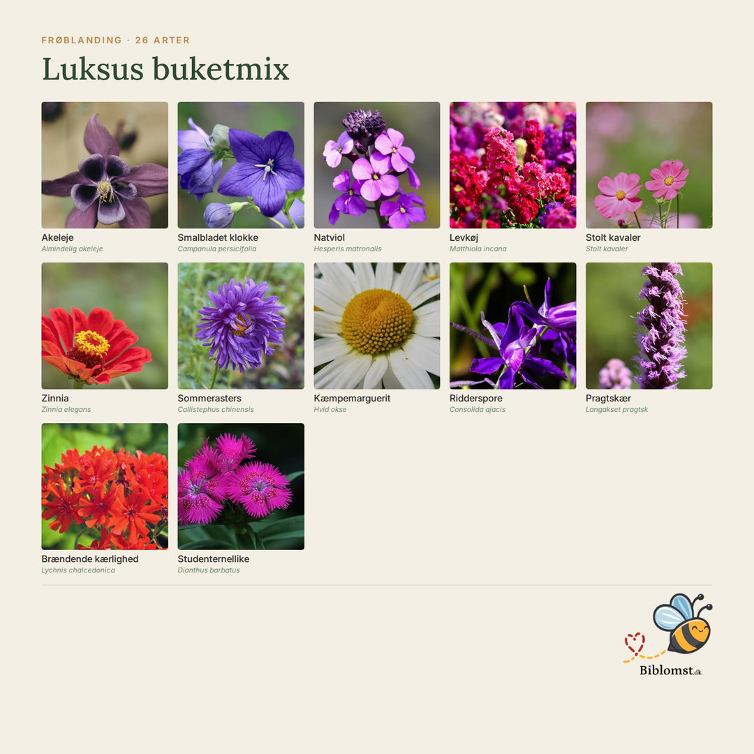 Biblomst luksus  buketmix - 27 arter - holdbare stilke og lang sæson