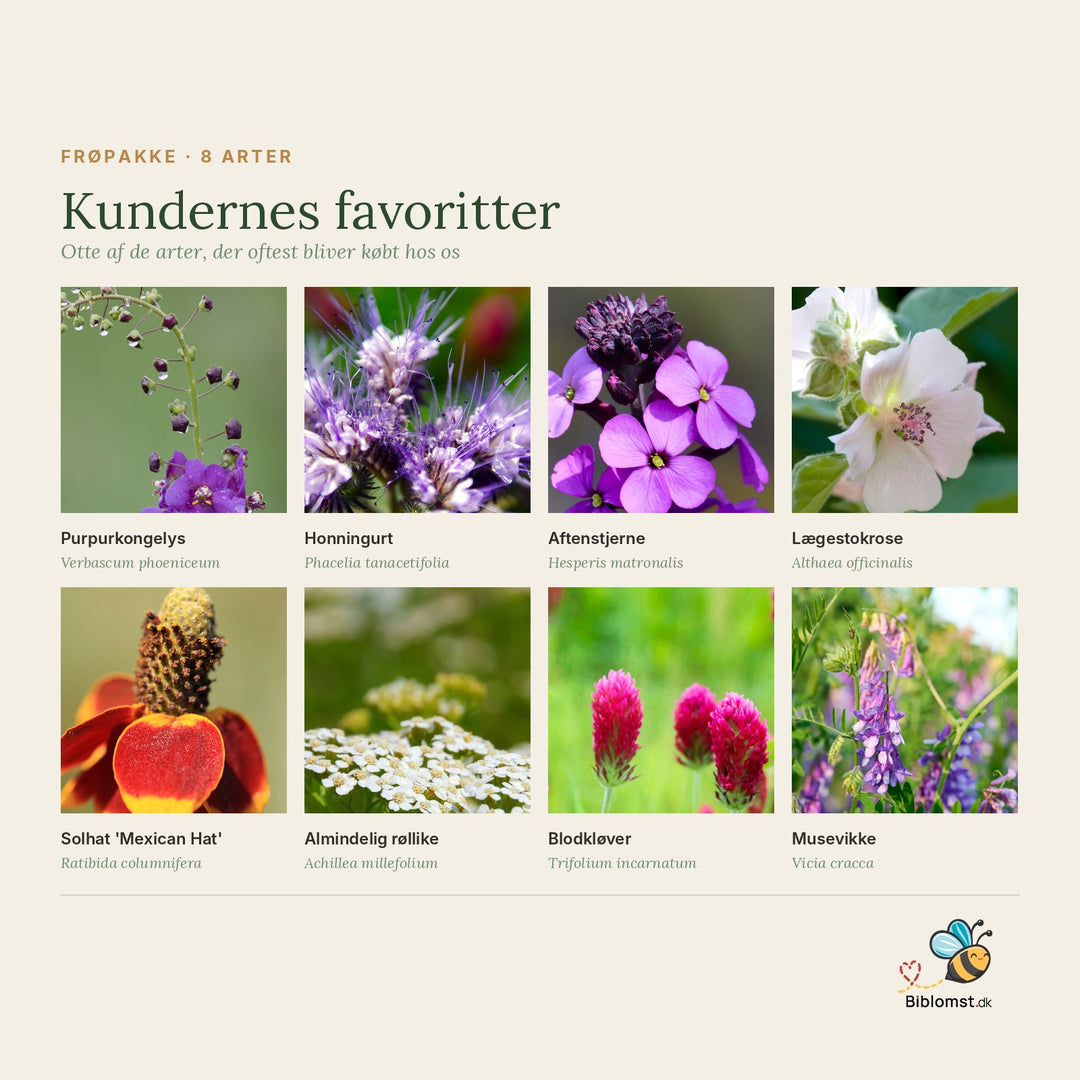 Kundernes favoritter – oversigt over de otte arter i pakken