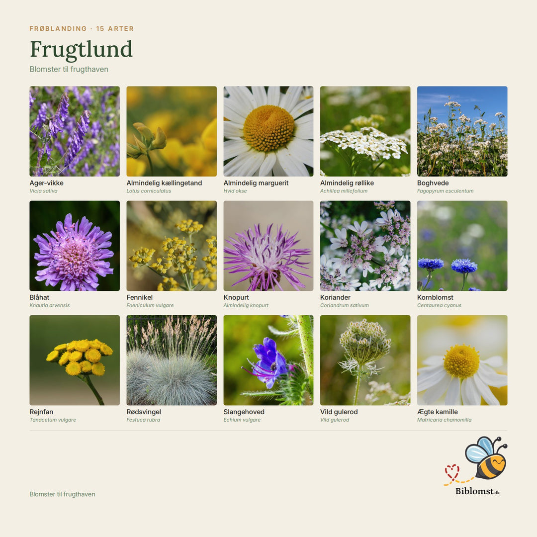 Biblomst Frugtlund – oversigt over arterne i blandingen (1)