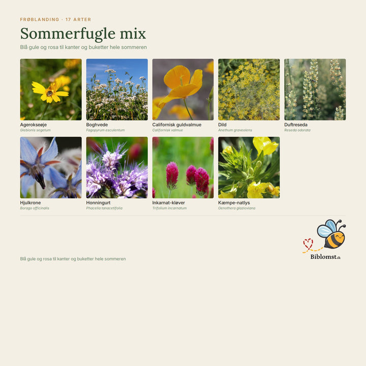 Sommerfugle mix – oversigt over arterne i blandingen (1)