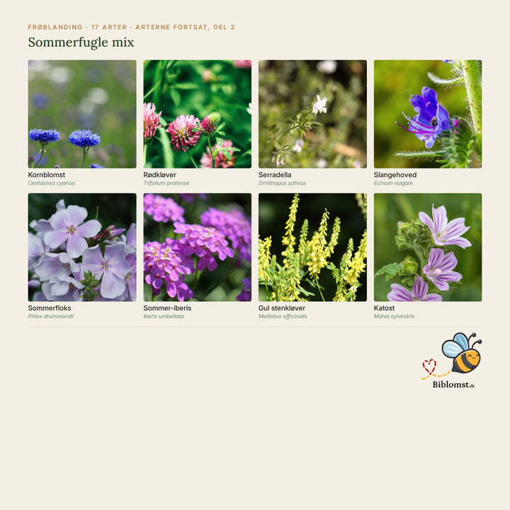 Sommerfugle mix – oversigt over arterne i blandingen (2)