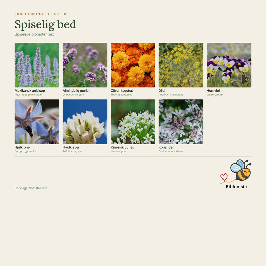 Biblomst spiselig bed – oversigt over arterne i blandingen (1)